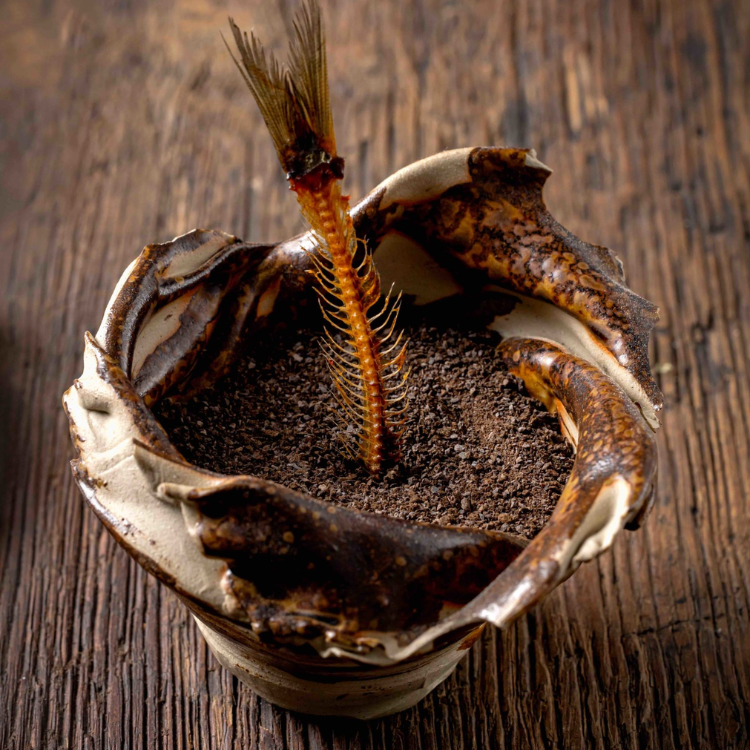 7-Course Tasting Menu with pairings (wine and other alcohols)